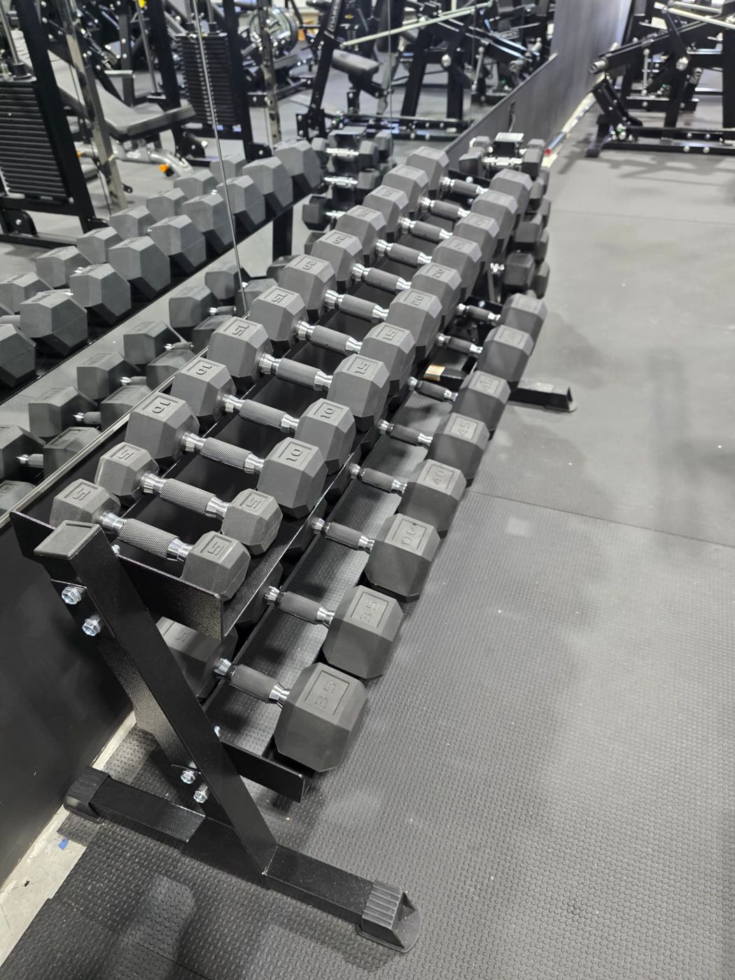 Dumbbell racks in the private gym