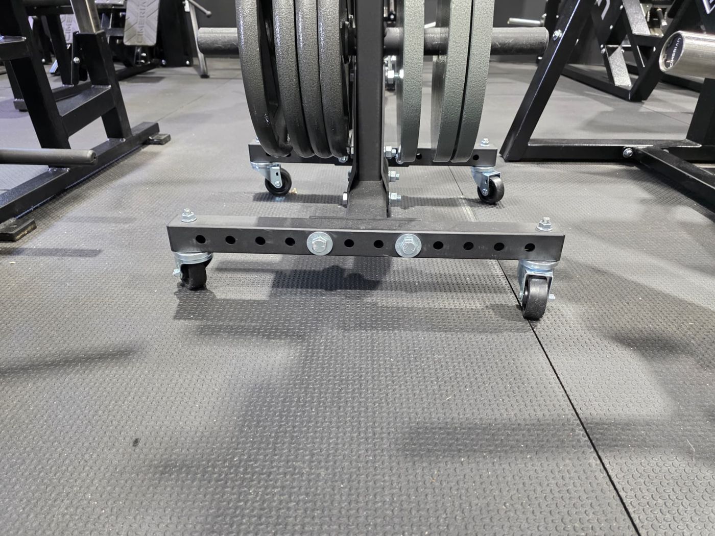 Weight plates on a storage tree in the private gym